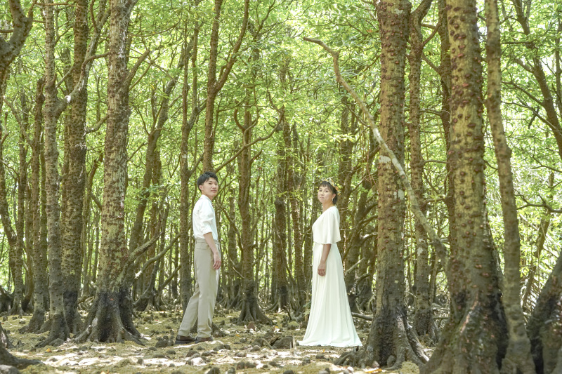 次は南国植物「マングローブ」へ。