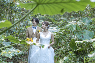 南国植物モリモリ！石垣島の撮影スポットはビーチだけではありません！