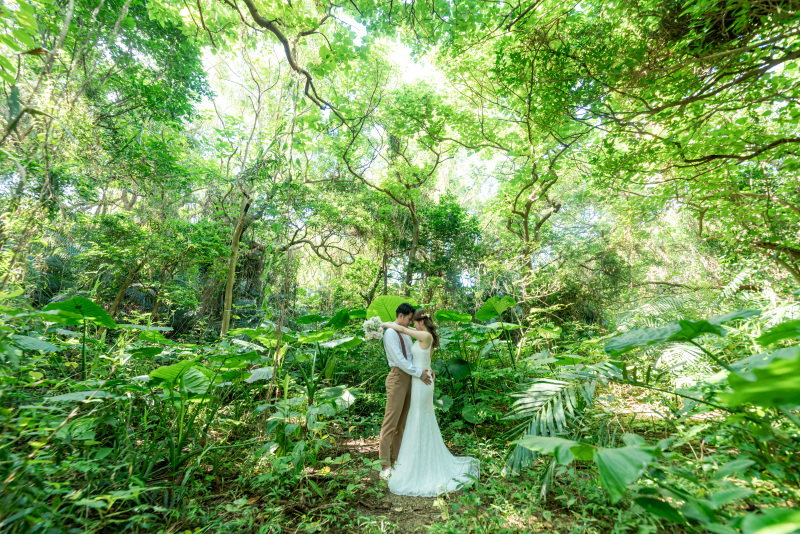 石垣島はジャングルの島。南国植物に囲まれて