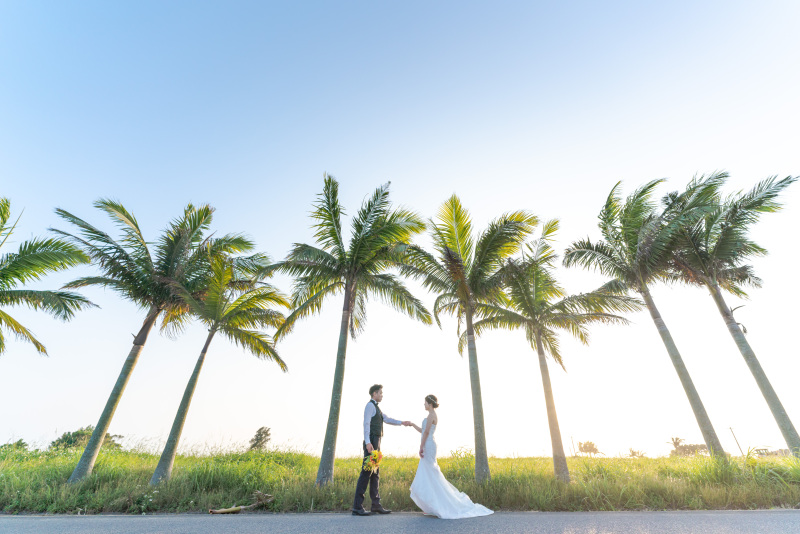 ヤシの木並木道でエスコート。