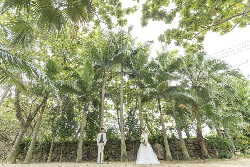 南国感溢れるヤシの木と南国植物達