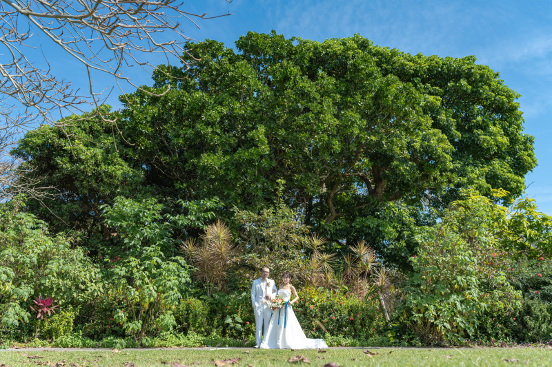 ラストは様々な南国植物に囲まれて。モリモリ。