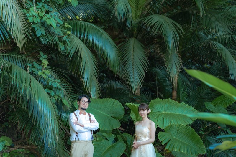 でっかい葉っぱがモリモリ!南国植物。