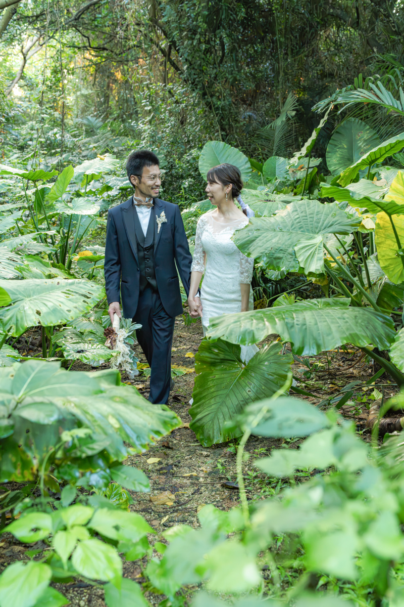 最後は巨大クワズイモの森。