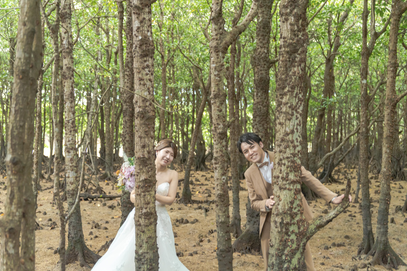 マングローブの木で顔出しポーズ！