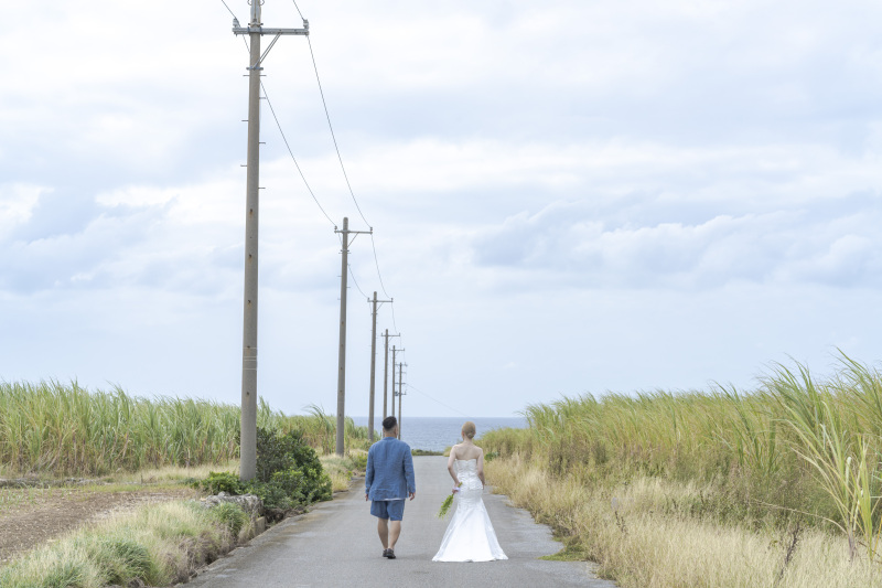 沖縄らしいサトウキビ畑に挟まれた一本道