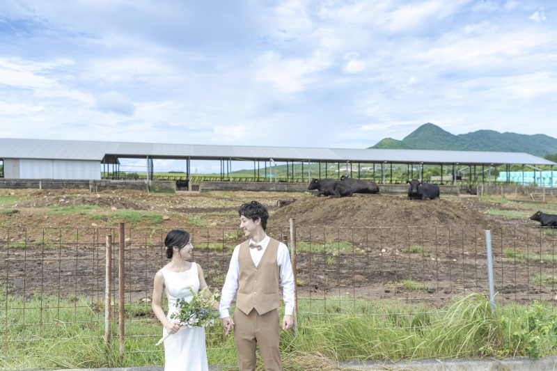 牛とも撮りたい!おふたりのご希望叶えます!