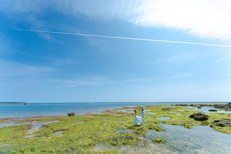 綺麗な飛行機雲！青い空に白い一本の線。