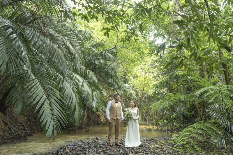 川もある石垣島。ジャングル南国植物の中の川。