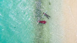 石垣ブルーの海にダイブ！海を全身で感じよう！