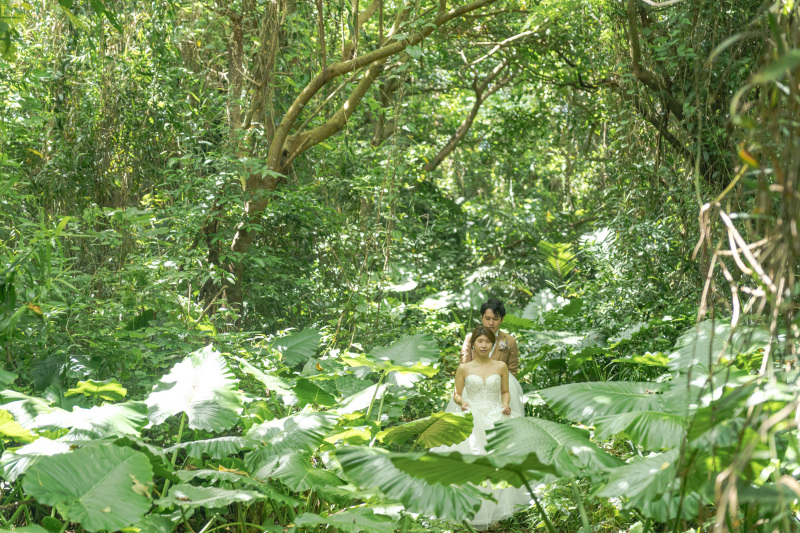 大きい葉っぱの森。まるで小人？？