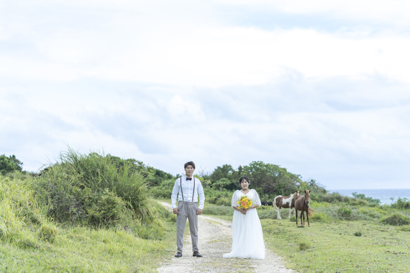 牛や馬など、動物達とも撮影できちゃう!