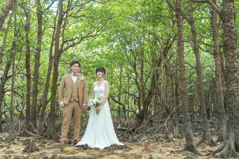 マングローブ林の中。地面から出てる根っこが特徴的