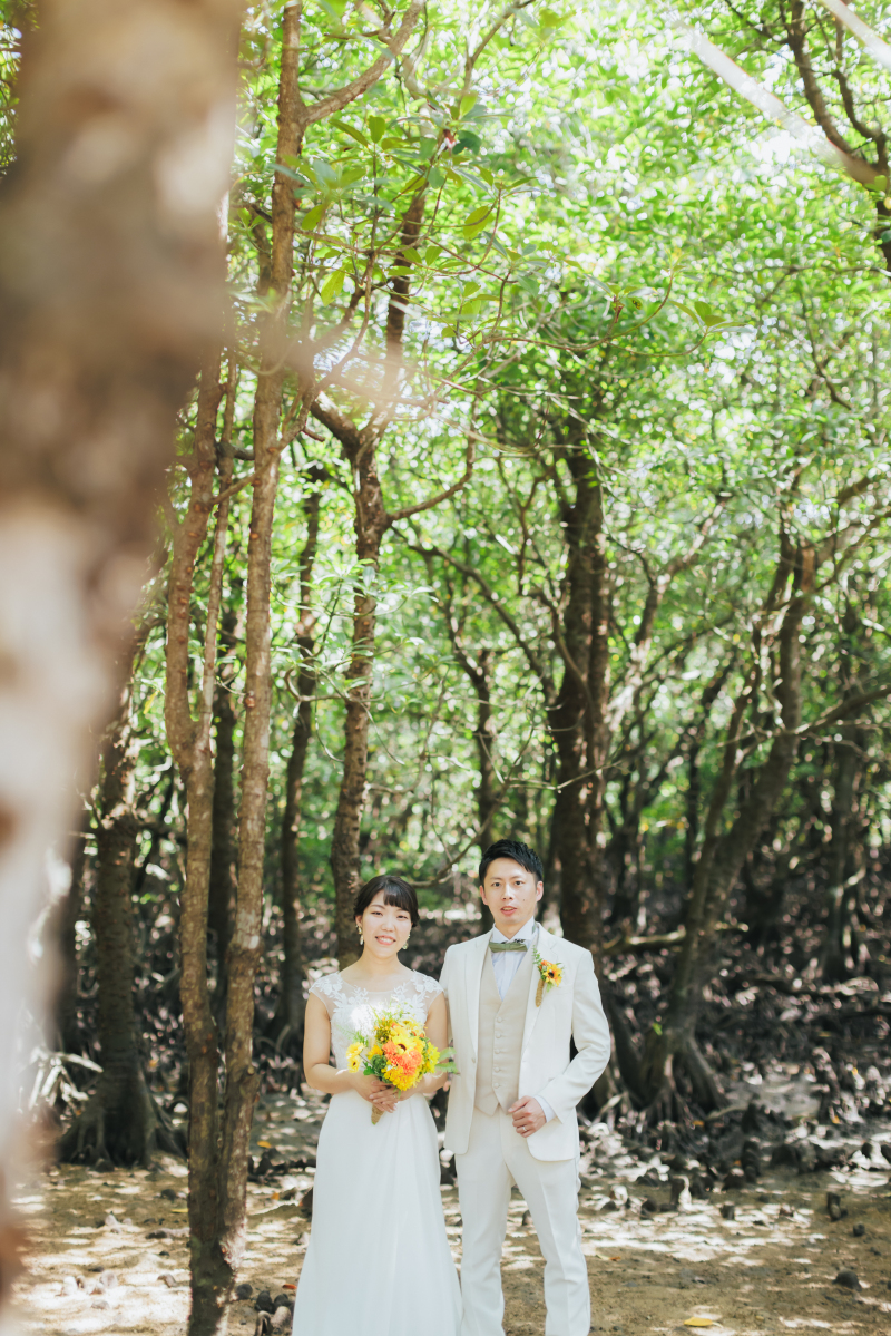 まずは、マングローブの林の中で。