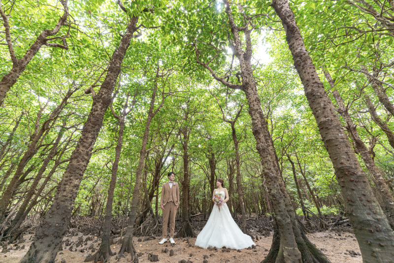 そして南国のマングローブ林へ・・・