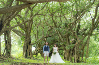 海もいいけどガジュマルの森。パワーがもらえる気がする。