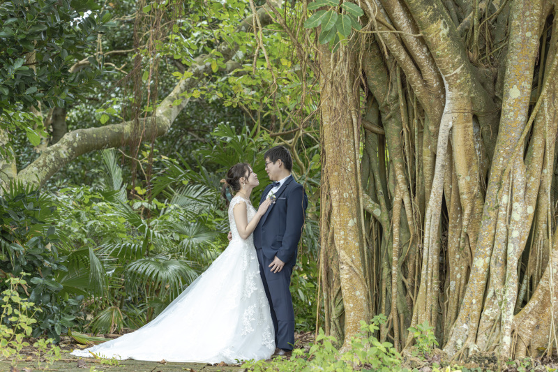 神聖なる木「ガジュマルの木」