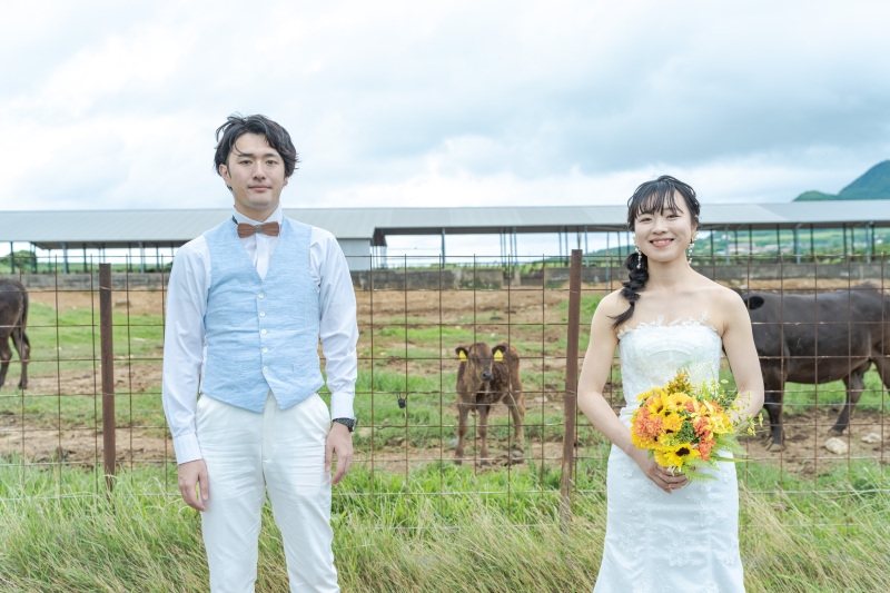 移動中の牧場で牛と一緒に!