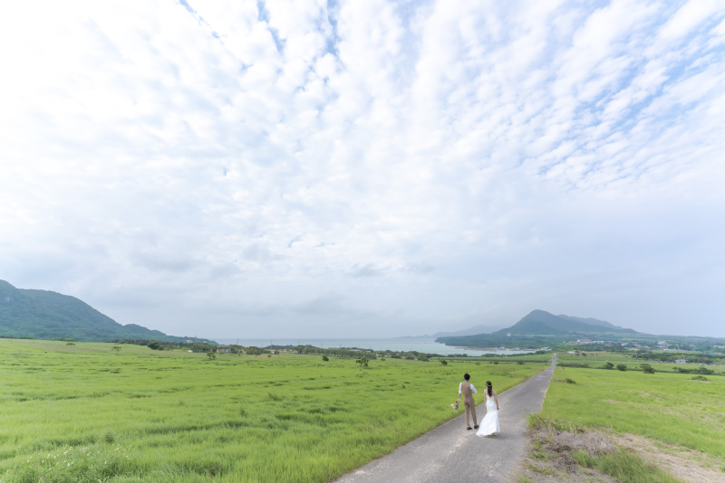 緑の草原が広がる一本道へ。