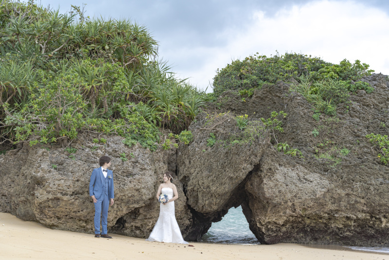 ゴツゴツの岩の上に、南国植物がワサワサ生えてる。