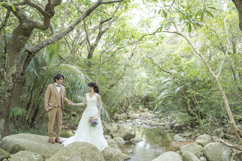 緑に囲まれた空間。またまた違うグリーン。