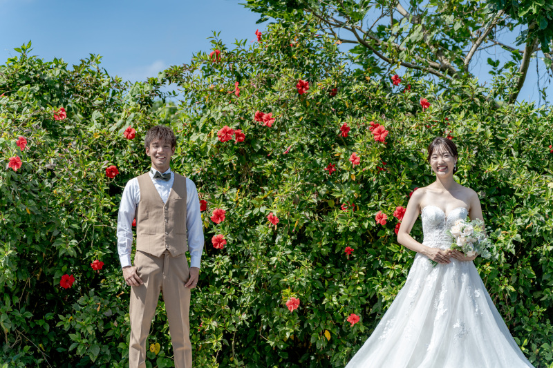 真っ赤に咲き誇るハイビスカスの花!寄り道撮影