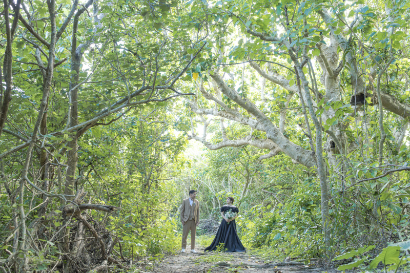 緑に囲まれた空間。またまた違うグリーン。
