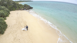 石垣島の大自然、ビーチに南国植物を大満喫しましょう！