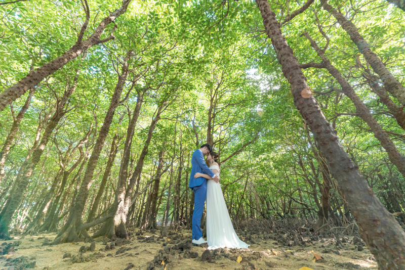 木漏れ日の素敵なマングローブ林の中へ・・・