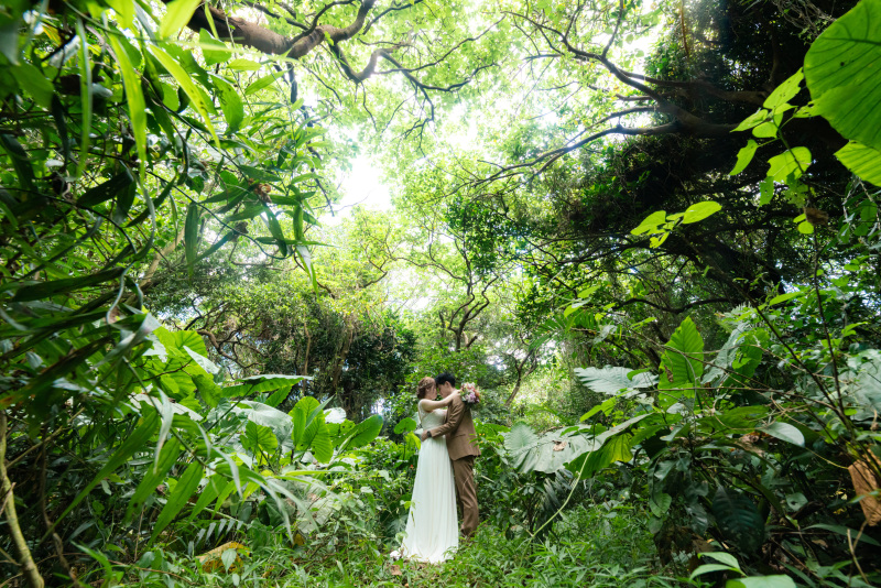 様々な南国植物のジャングルの中で。