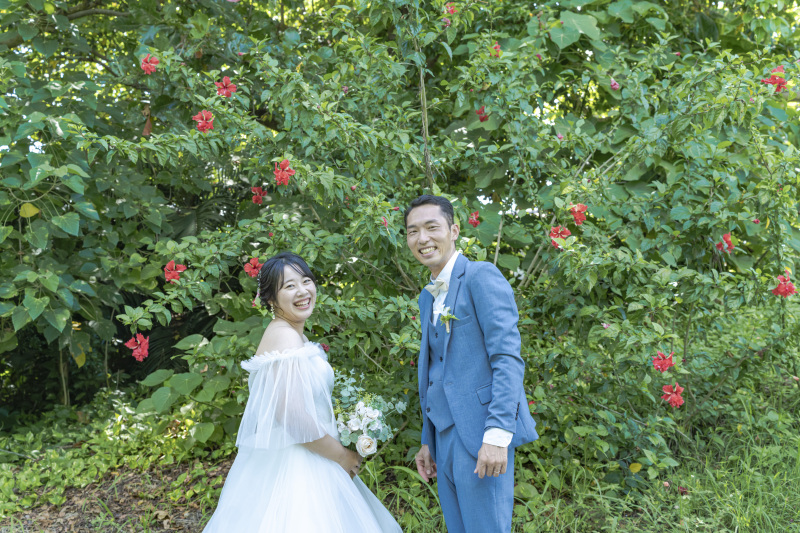 何種類の南国植物があるでしょう??ハイビスカスも