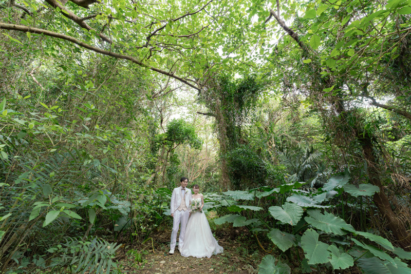 自分たちの背ほどもある巨大クワズイモ。