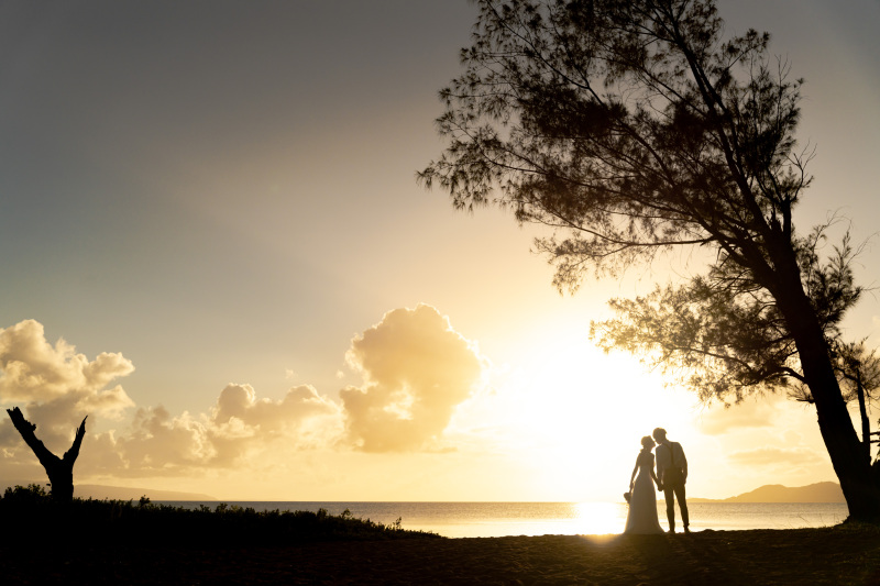 シルエット。木陰で寄り添うふたりとサンセット。