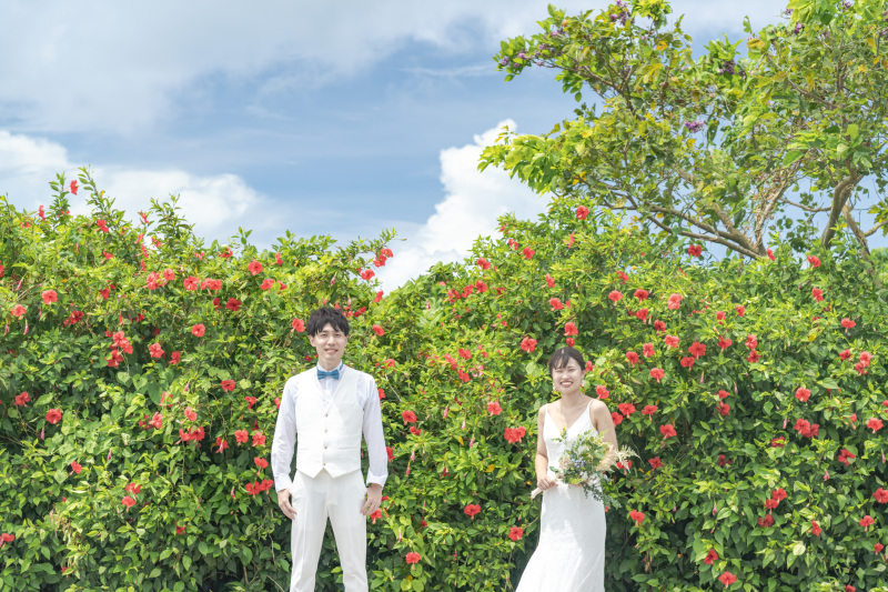 咲き誇るハイビスカス!赤い花が可愛い。