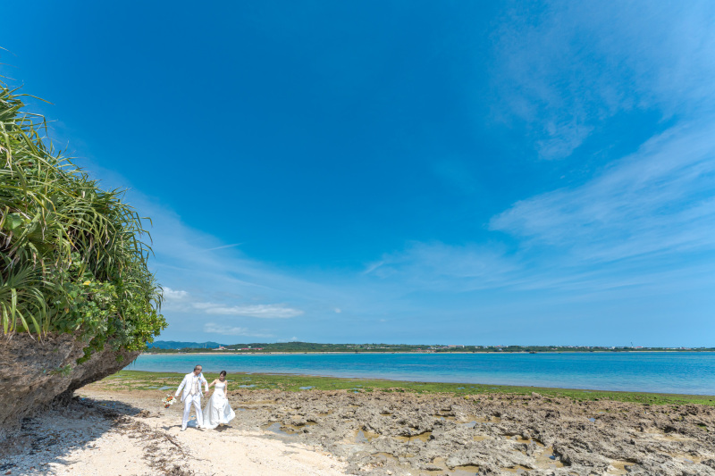 青い海。珊瑚の化石の岩のビーチ。ゴツゴツした感じ