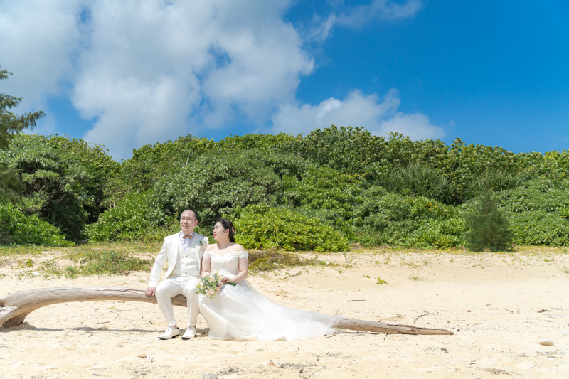 ビーチにあるものはなんでも使います!流木も。