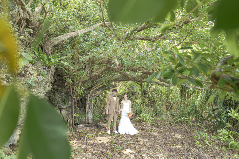 海だけじゃないのが石垣島。大きな葉っぱの南国植物