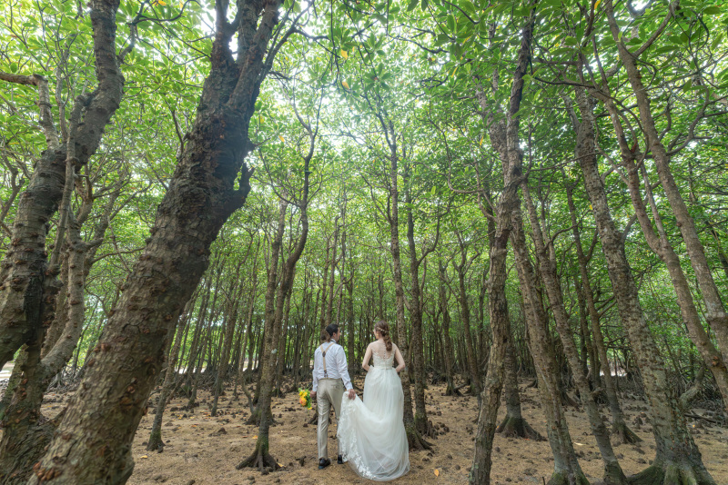 都会では味わえない。マングローブ林を静かに散策。