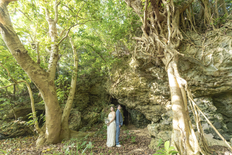 岩の上に這うように育つ南国の木！