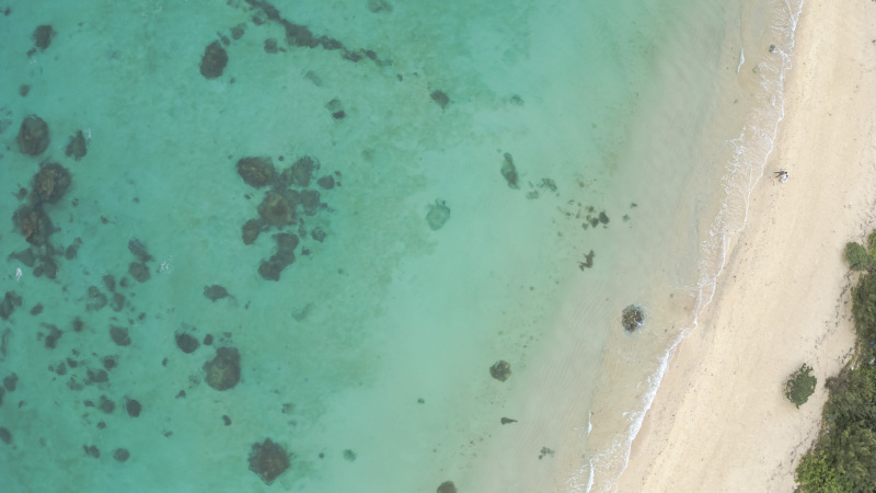 曇り空でも海は青い！？NoLimit!無制限フォトツアーで、楽しもう！