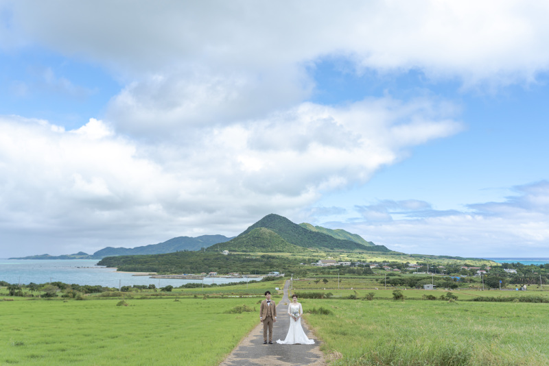 海の見える一本道。牧草地が広がるスポット。