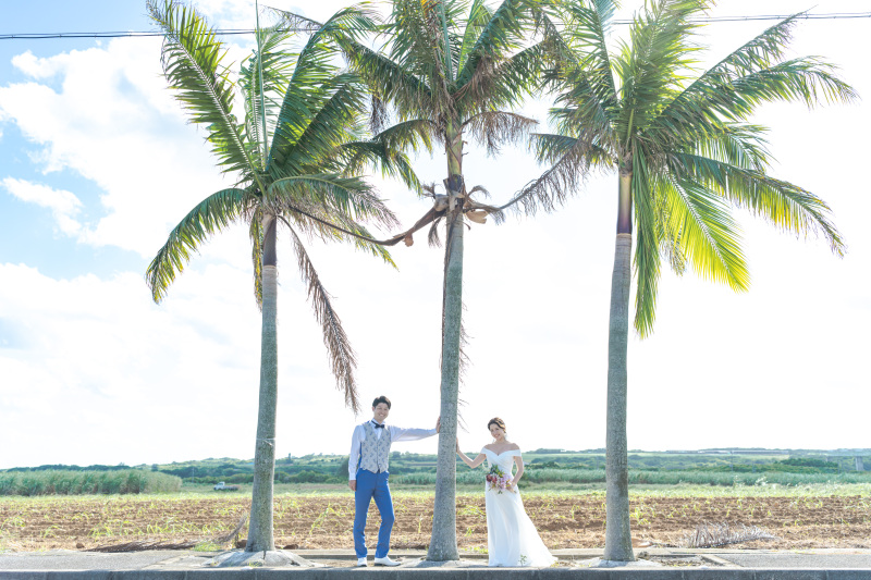 南国といえば!ヤシの木とも撮影できるスポット。