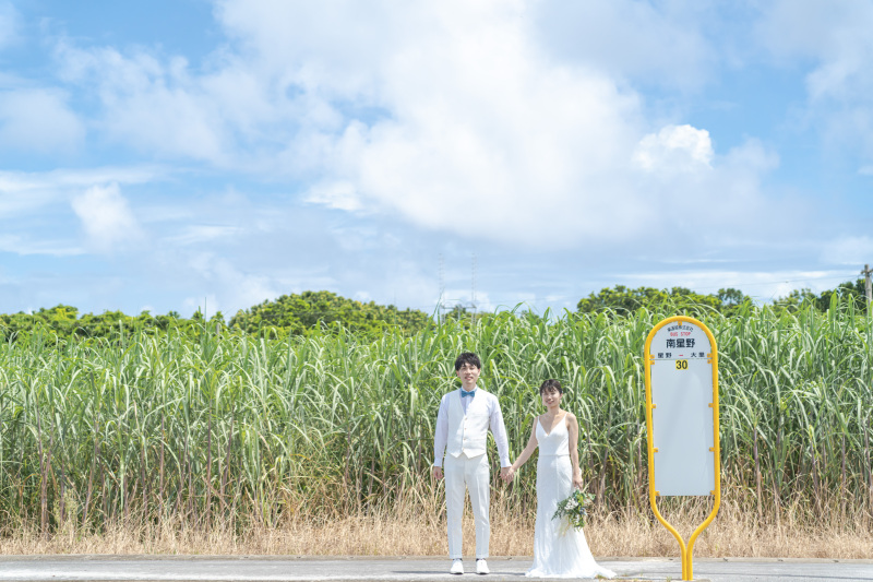 大好きな田舎のバス停。沖縄らしいサトウキビ畑
