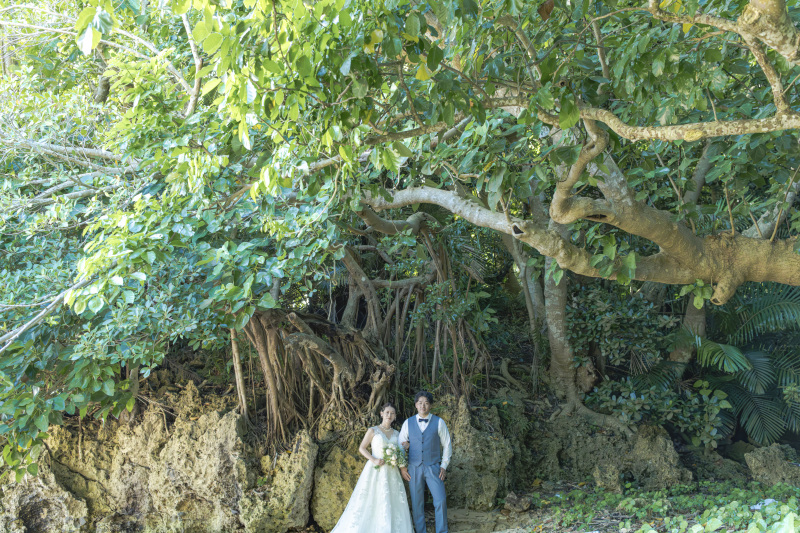 ビーチにある珊瑚の化石の岩。ゴツゴツした感じ