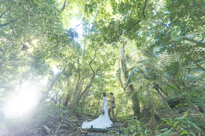 マングローブだけじゃない！南国植物のジャングル。