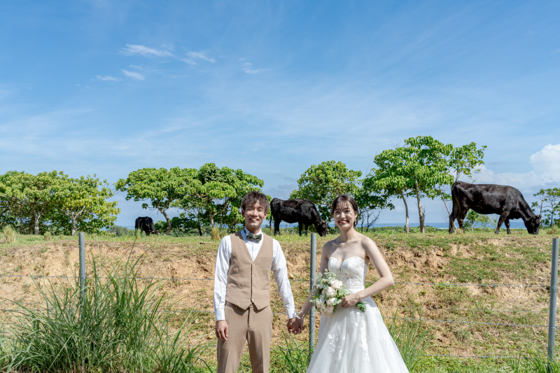 牛とも撮りたい!おふたりのご希望叶えます!