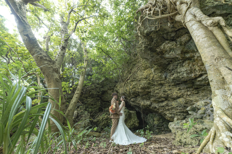 南国植物モリモリ！大自然感じるジャングルスポット