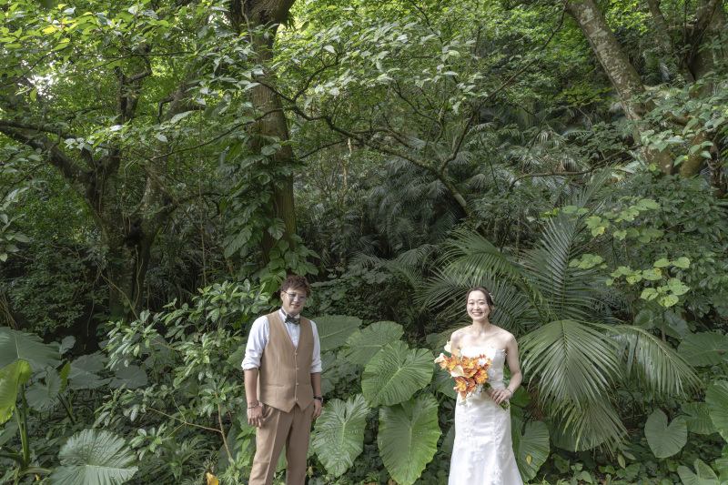 クワズイモや南国植物の森の中。