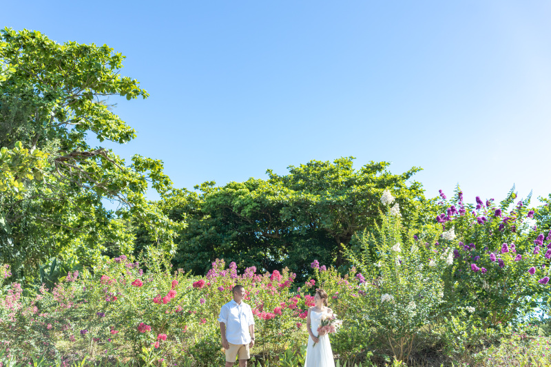 年中お花がどこかで咲いてる石垣島。