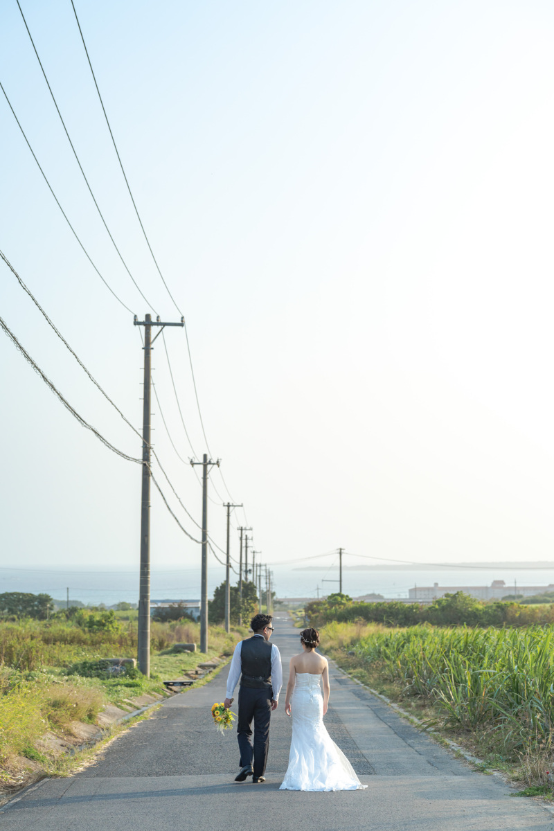 ここは、海をのぞむ一本道。牧歌的な風景。